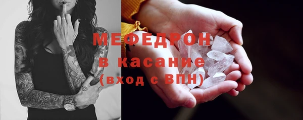гидра Няндома