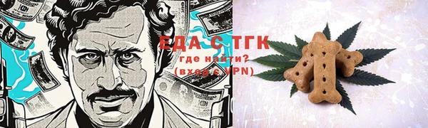 гидра Няндома