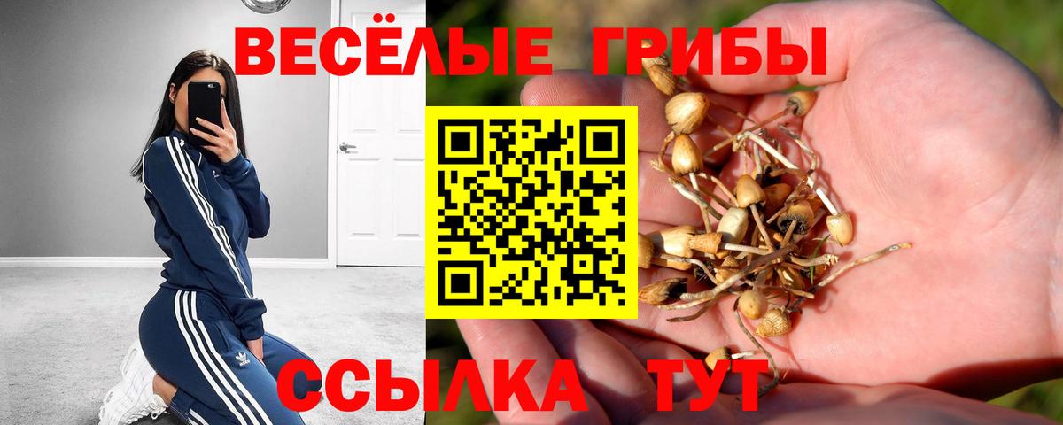 Псилоцибиновые грибы Cubensis  Галлюциногенные грибы Psilocybe  Вход с VPN  Жуковский 