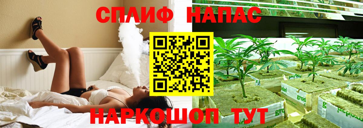 Жуковский  Бошки Шишки тримм  Канабис AK-47  Конопля сатива  Бошки марихуана THC 21%  Вход с VPN 